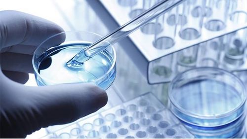 龍池牡丹 緊抓二產(chǎn)，深挖科研，以技術(shù)服務(wù)驅(qū)動(dòng)牡丹精品駛?cè)胧袌?chǎng)藍(lán)海